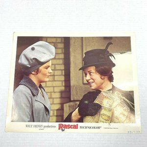 Rascal 1969 Original Lobby Card Movie Poster Disney Bill Mumy Steve Forrest VTG